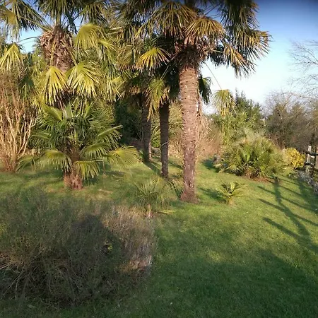 Le Coing La Guiltiere