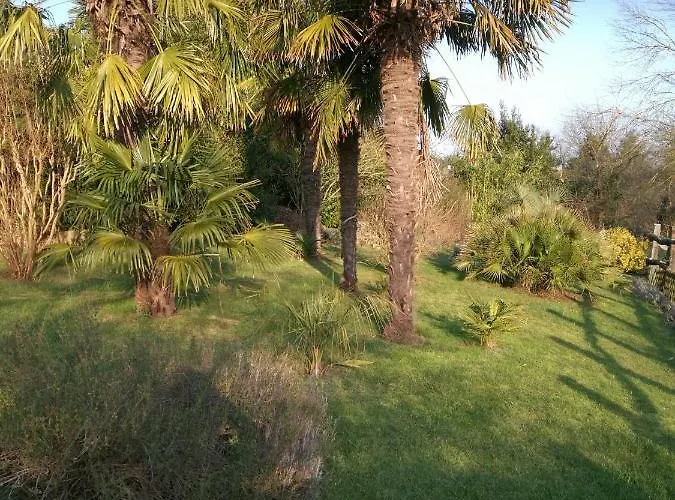 Le Coing La Guiltiere